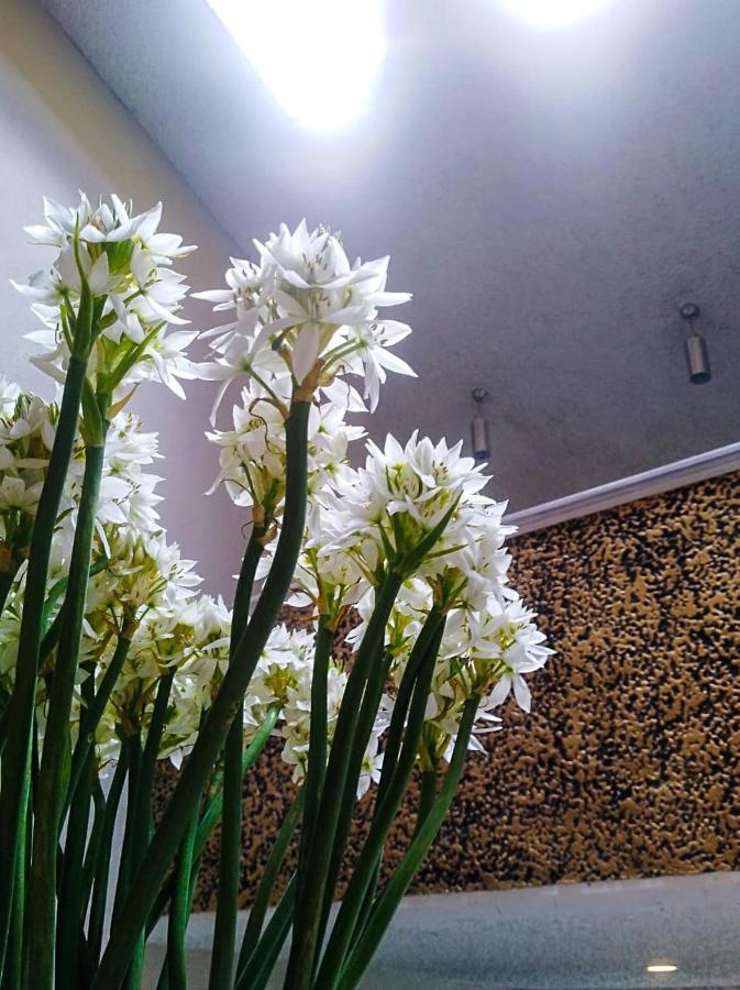 Hotel Atelier Богота Экстерьер фото